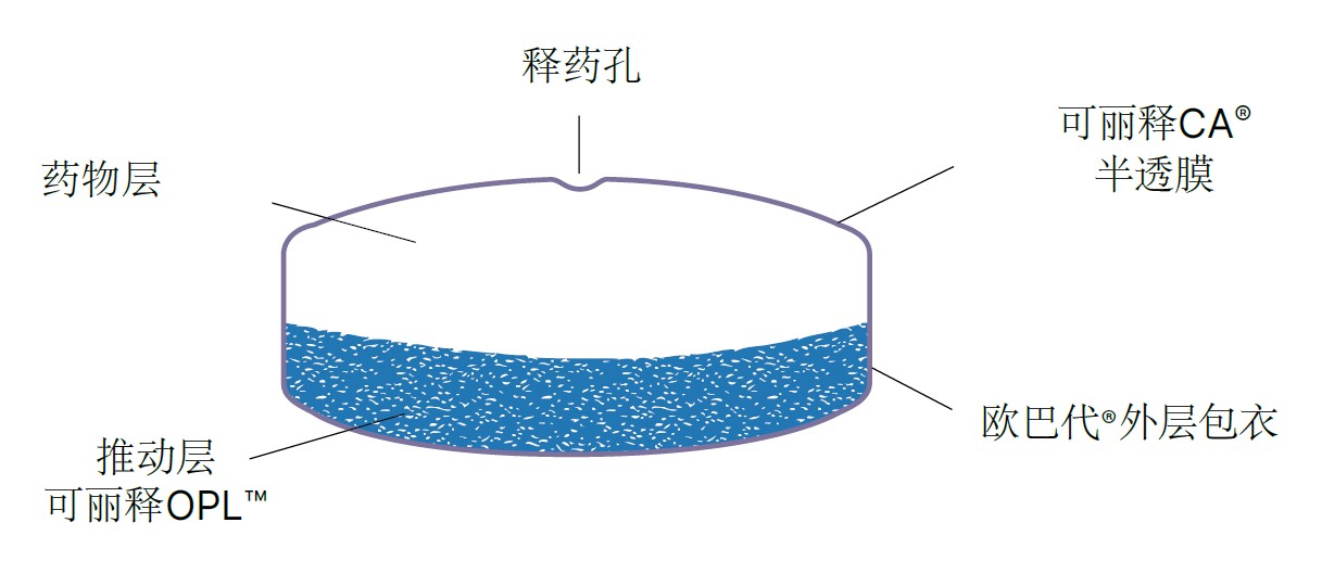 Corelease OPL diagram March 2024